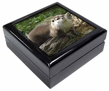 River Otter Keepsake/Jewellery Box
