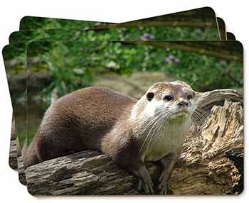 River Otter Picture Placemats in Gift Box