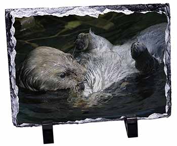 Floating Otter, Stunning Photo Slate