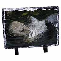 Floating Otter, Stunning Animal Photo Slate