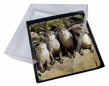 4x Cute Otters Picture Table Coasters Set in Gift Box