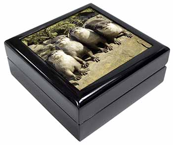 Cute Otters Keepsake/Jewellery Box