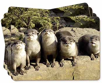 Cute Otters Picture Placemats in Gift Box