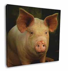 Pigs in Sty Square Canvas 12"x12" Wall Art Picture Print