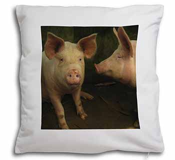 Pigs in Sty Soft White Velvet Feel Scatter Cushion