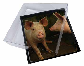 4x Pigs in Sty Picture Table Coasters Set in Gift Box