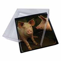 4x Pigs in Sty Picture Table Coasters Set in Gift Box