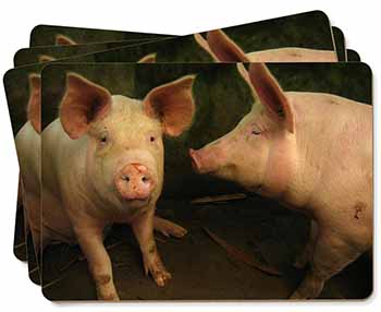 Pigs in Sty Picture Placemats in Gift Box