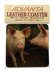 Pigs in Sty Single Leather Photo Coaster
