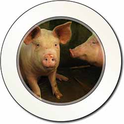 Pigs in Sty Car or Van Permit Holder/Tax Disc Holder