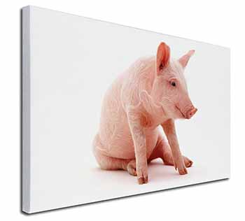 Cute Pink Pig Canvas X-Large 30"x20" Wall Art Print