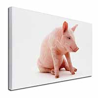 Cute Pink Pig Canvas X-Large 30"x20" Wall Art Print