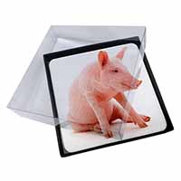 4x Cute Pink Pig Picture Table Coasters Set in Gift Box