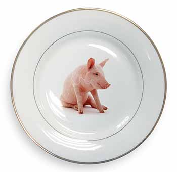 Cute Pink Pig Gold Rim Plate Printed Full Colour in Gift Box