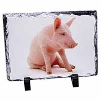 Cute Pink Pig, Stunning Photo Slate