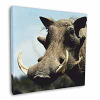 Wart Hog-African Pig Square Canvas 12"x12" Wall Art Picture Print