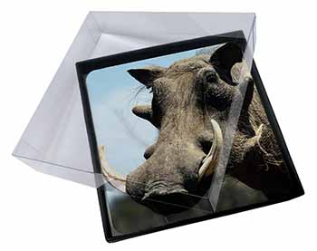 4x Wart Hog-African Pig Picture Table Coasters Set in Gift Box