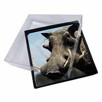 4x Wart Hog-African Pig Picture Table Coasters Set in Gift Box