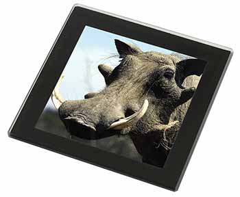 Wart Hog-African Pig Black Rim High Quality Glass Coaster