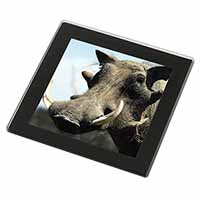 Wart Hog-African Pig Black Rim High Quality Glass Coaster