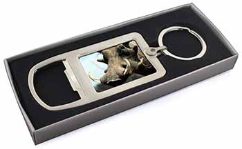 Wart Hog-African Pig Chrome Metal Bottle Opener Keyring in Box