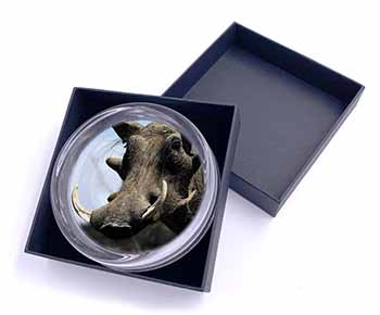 Wart Hog-African Pig Glass Paperweight in Gift Box