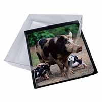 4x Mother and Piglets Picture Table Coasters Set in Gift Box