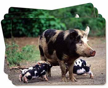 Mother and Piglets Picture Placemats in Gift Box