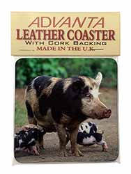 Mother and Piglets Single Leather Photo Coaster