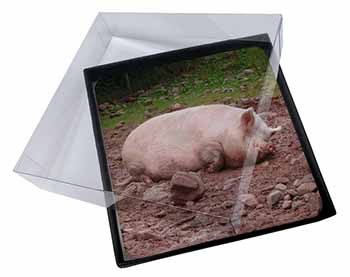 4x Sleeping Pig Print Picture Table Coasters Set in Gift Box