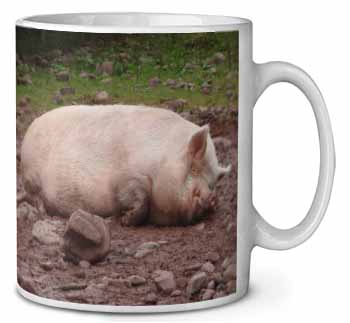 Sleeping Pig Print Ceramic 10oz Coffee Mug/Tea Cup