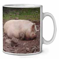 Sleeping Pig Print Ceramic 10oz Coffee Mug/Tea Cup