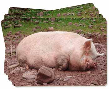 Sleeping Pig Print Picture Placemats in Gift Box