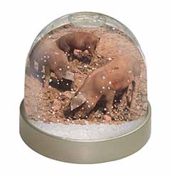 New Baby Pigs Snow Globe Photo Waterball