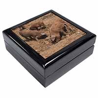 New Baby Pigs Keepsake/Jewellery Box