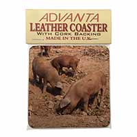 New Baby Pigs Single Leather Photo Coaster