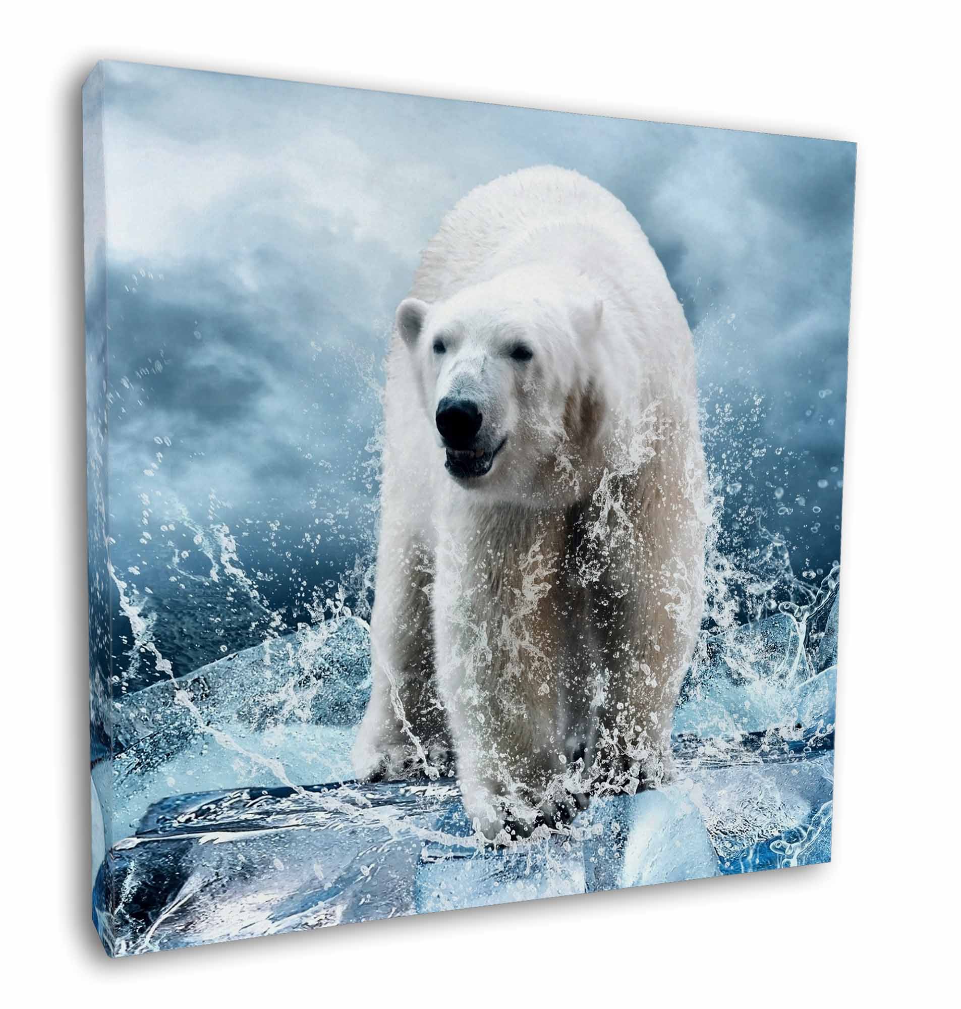 Polar Bear on Ice Water 12
