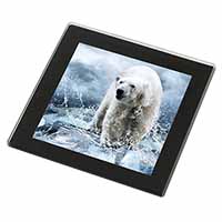 Polar Bear on Ice Water Black Rim High Quality Glass Coaster