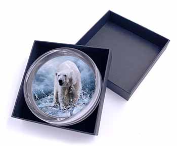 Polar Bear on Ice Water Glass Paperweight in Gift Box