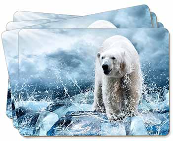 Polar Bear on Ice Water Picture Placemats in Gift Box