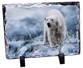 Polar Bear on Ice Water, Stunning Photo Slate