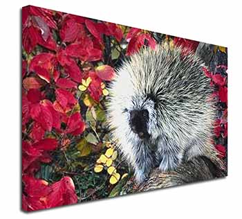 Porcupine Wildlife Print Canvas X-Large 30"x20" Wall Art Print