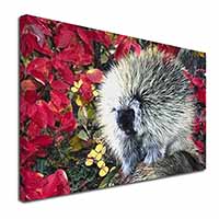 Porcupine Wildlife Print Canvas X-Large 30"x20" Wall Art Print