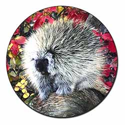 Porcupine Wildlife Print Fridge Magnet Printed Full Colour