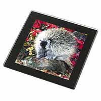 Porcupine Wildlife Print Black Rim High Quality Glass Coaster