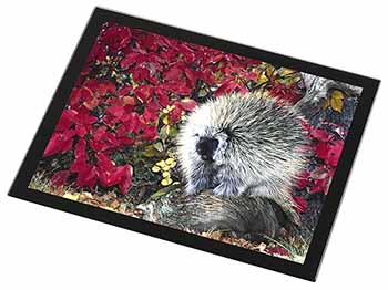 Porcupine Wildlife Print Black Rim High Quality Glass Placemat