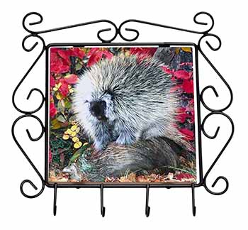 Porcupine Wildlife Print Wrought Iron Key Holder Hooks