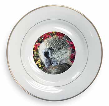 Porcupine Wildlife Print Gold Rim Plate Printed Full Colour in Gift Box