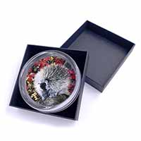 Porcupine Wildlife Print Glass Paperweight in Gift Box