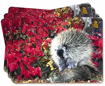 Porcupine Wildlife Print Picture Placemats in Gift Box